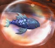 Tiny Blue Carp