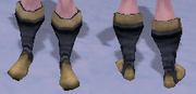 Seer's Boots, Snow Background, NE Female