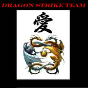 Dragon Strike Team Pic