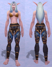 Velen's Leggings of Conquest, Snow Background, NE Female