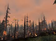 Howling Fjord Burning