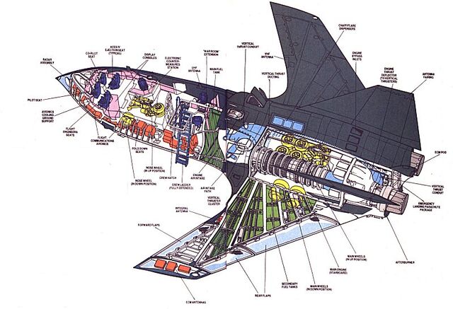 File:Blackbird1a.jpg