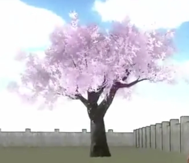 Image OldCherryTree.png Yandere Simulator Wiki Fandom powered by