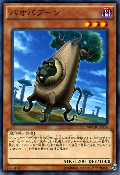 Baobaboon-MACR-JP-C.png