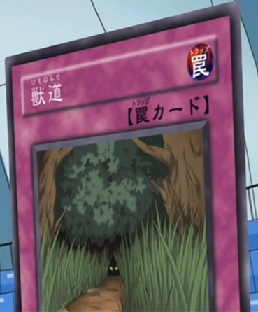AnimalTrail-JP-Anime-GX.png