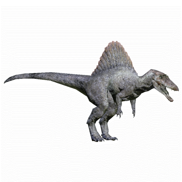 600?cb=20150220152409