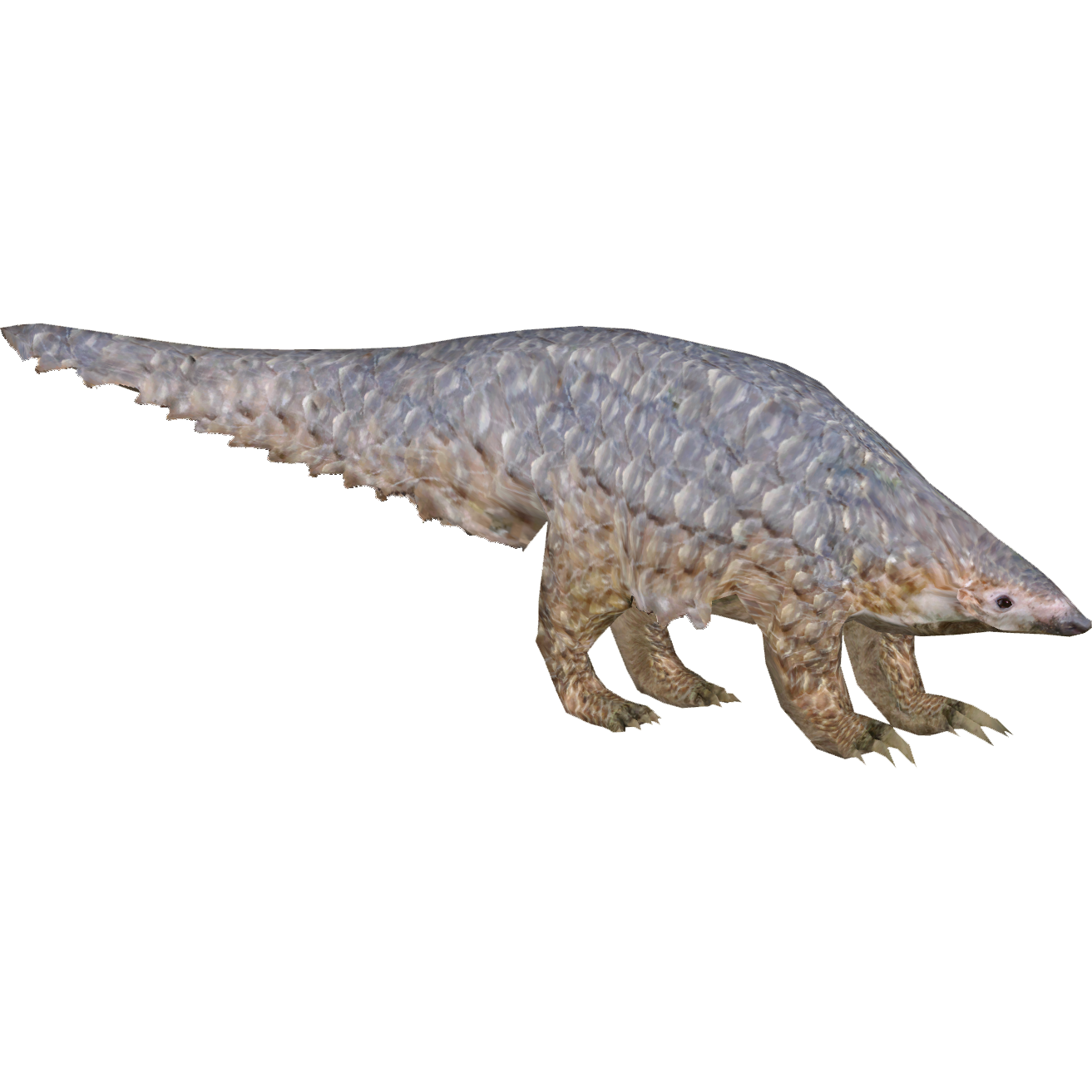 Indonesian Giant Pangolin (Lazardi) | ZT2 Download Library Wiki