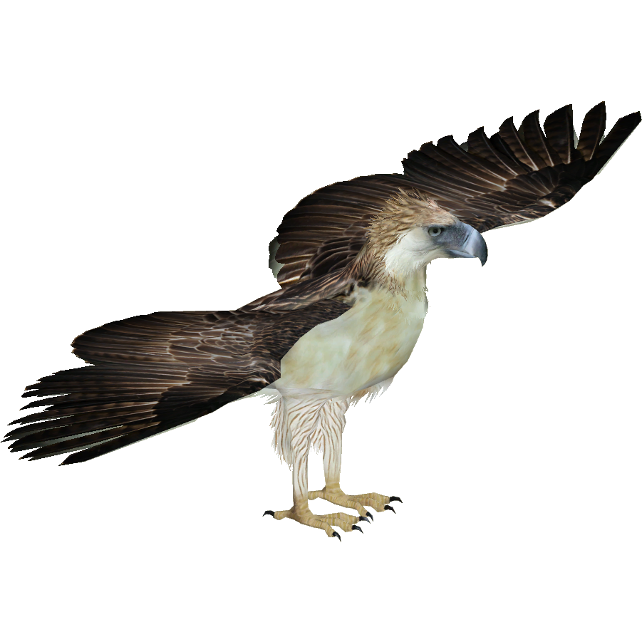 Philippine Eagle (Eryel & Zerosvalmont) | ZT2 Download Library Wiki
