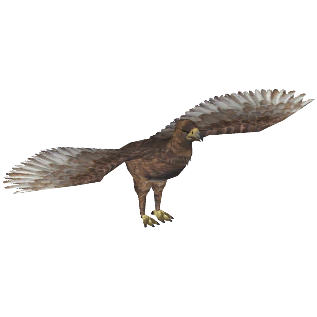 Haast's Eagle (Ringo) ZT2 Download Library Wiki FANDOM powered by Wikia
