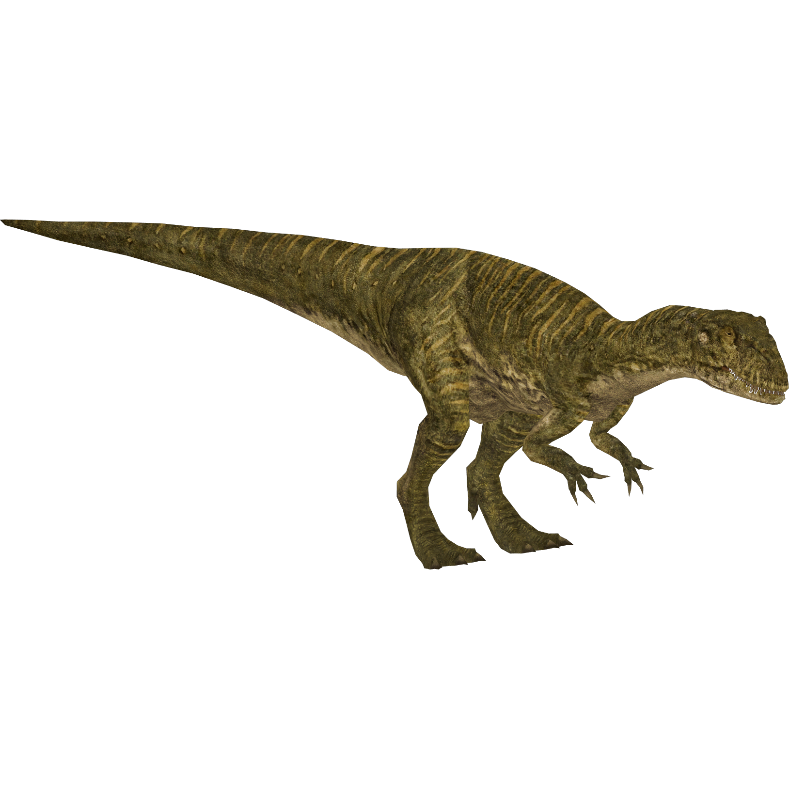 dwarf allosaurus