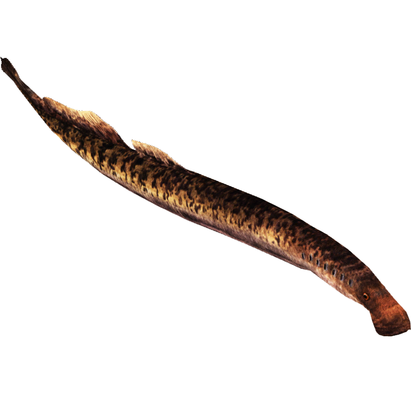 Sea Lamprey (Eternal Arts) | ZT2 Download Library Wiki | Fandom powered