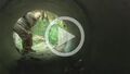 Thumbnail for version as of 19:30, December 1, 2012