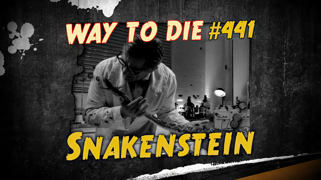 File:Snakenstein.png