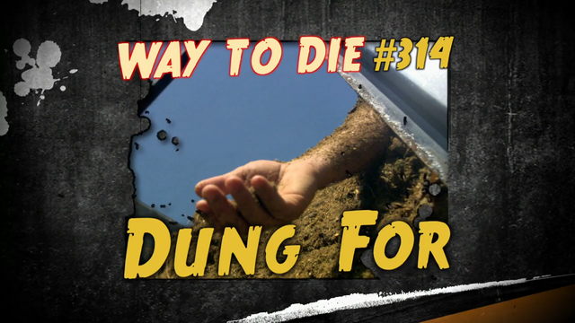 File:Dung For.png