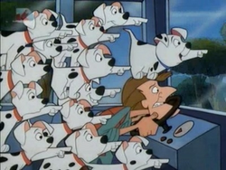 Dalmatian-Song