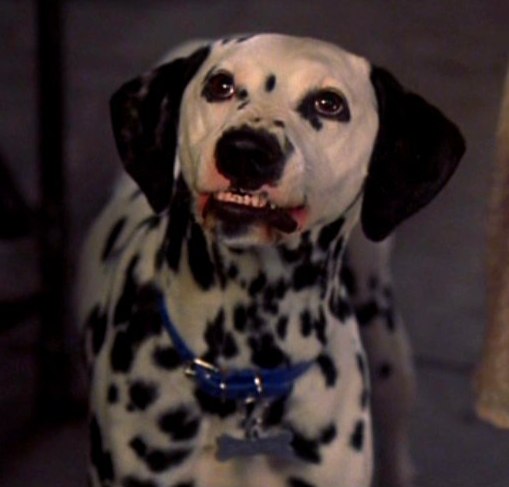 Dalmatian Dogs Full Movie Dalmatian Dogs Full Movie