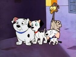 Lucky Cadpig Rolly Spot LAAC