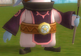 Ss robe.jpg