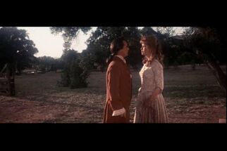 Screen image 173904