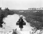 ChildLabor1910