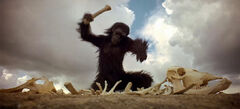 https://vignette2.wikia.nocookie.net/2001/images/3/3a/Monkey_man.jpg/revision/latest/scale-to-width-down/240?cb=20111116210717