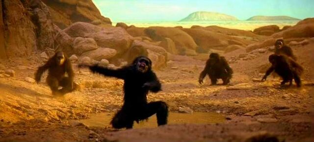 File:Space-odyssey-apes s$%t.jpg