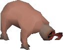 Old bloodveld