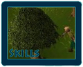 Thumbnail for version as of 17:05, June 18, 2012