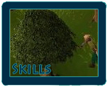 File:Skills.png