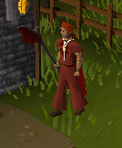 Dh