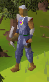 File:Blue leather full.png