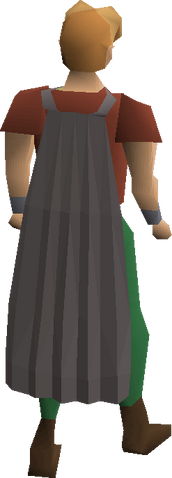 File:Fremennik grey cloak equipped.png