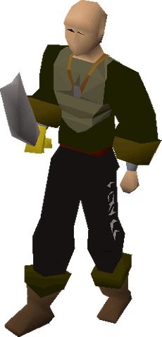 File:Rogue Guard 1.png