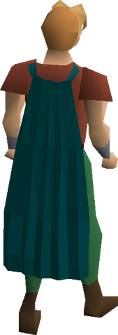 File:Fremennik teal cloak equipped.png