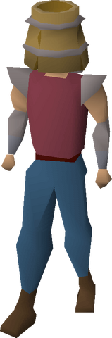 File:Bucket helm equipped.png