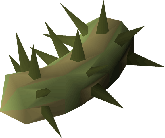 File:Potato cactus detail.png