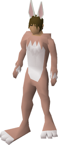 File:Bunny outfit equipped.png