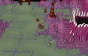 Sire SE safe-spot