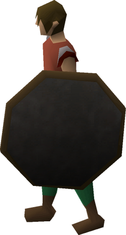 File:Mirror shield equipped.png