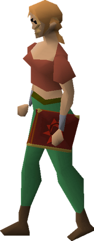 File:Mage's book equipped.png