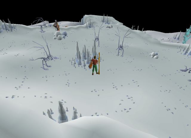 File:Skeletal wyvern upper area.png