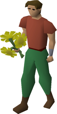 File:Yellow flowers equipped.png