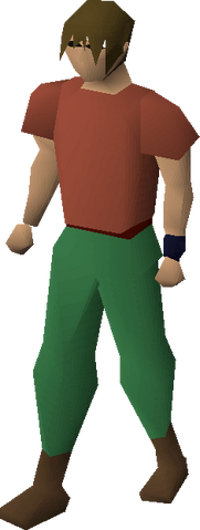 File:Regen bracelet equipped.png