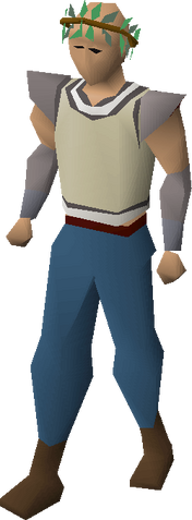 File:Druidic wreath equipped.png