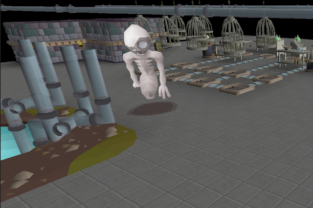File:Homunculus in dungeon.png