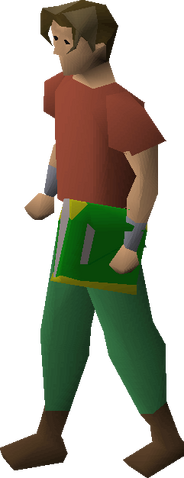 File:Book of balance equipped.png
