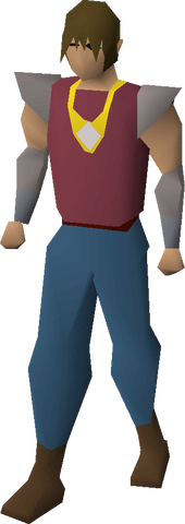 File:Diamond necklace equipped.png