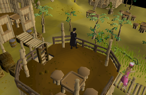 Fairy Ring Tai Bwo Wannai Fairy Ring Tai Bwo Wannai