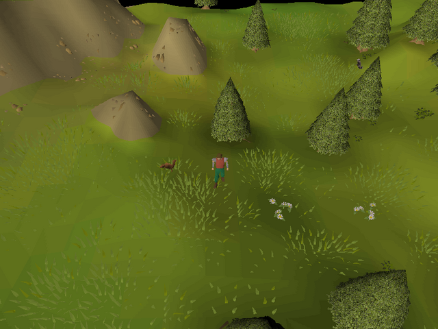 File:Hot cold clue - west of Barbarian Village.png