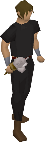 File:Monkey talisman equipped.png